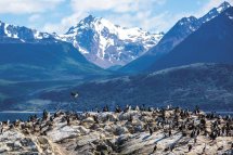 Patagonie a Ohňová země - Argentina - Patagonie